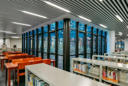 카지노 라이언 윈스 모바일 앱